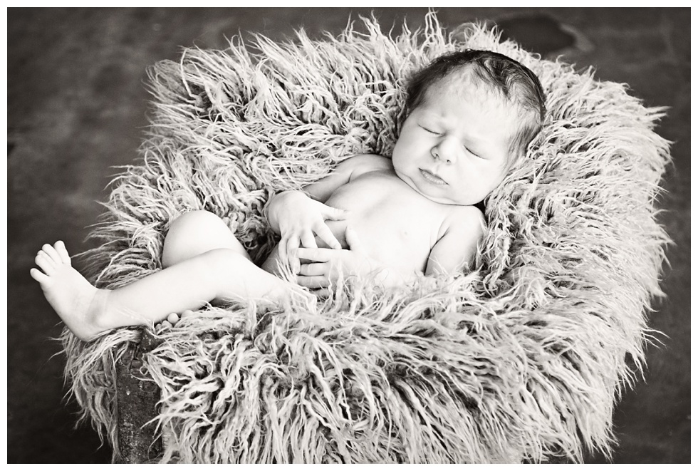 Newborn Photography